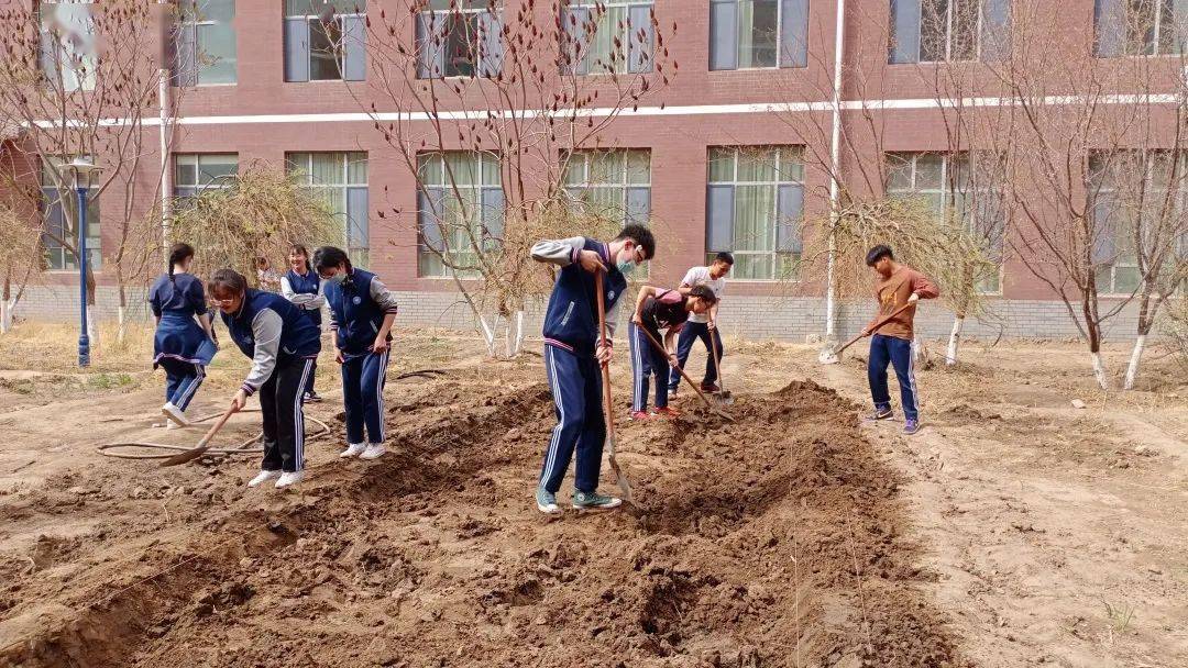劳动教育宣传月 |包头市蒙古族中学:让校园农场助力劳动教育,让土壤