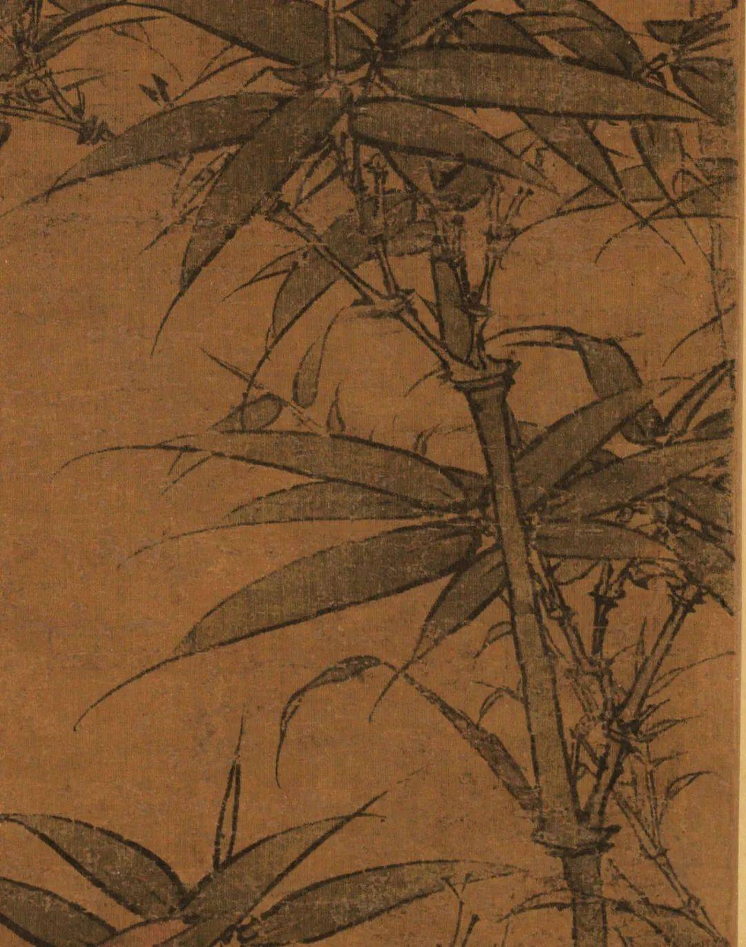 有了这双沟竹你就会画了