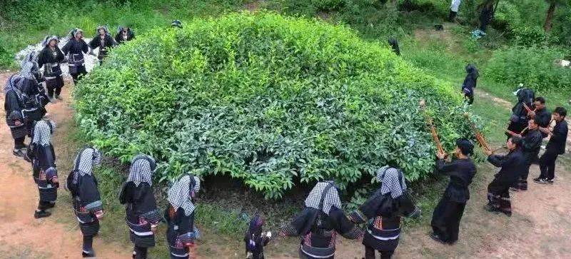 创建全国民族团结进步示范市乌木龙乡团结奋进迈向更美好的生活