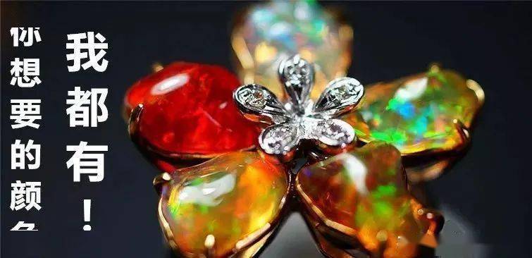 �����ڱ�ʯ���ϵ���Щ�����¡�