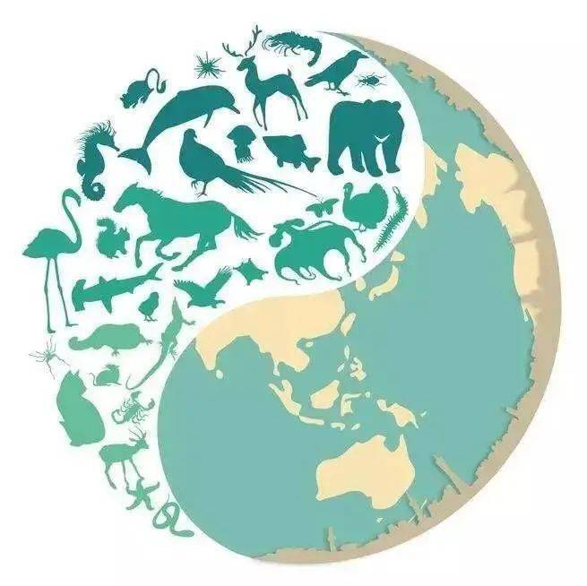 国际生物多样性日丨爱护环境保护生物