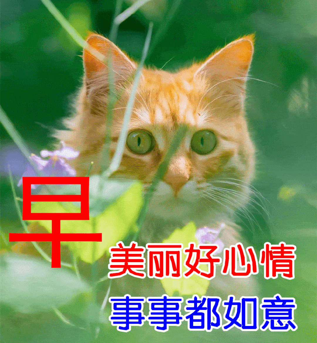 5月20日早上好祝福语图片大全问候动态表情图片大全