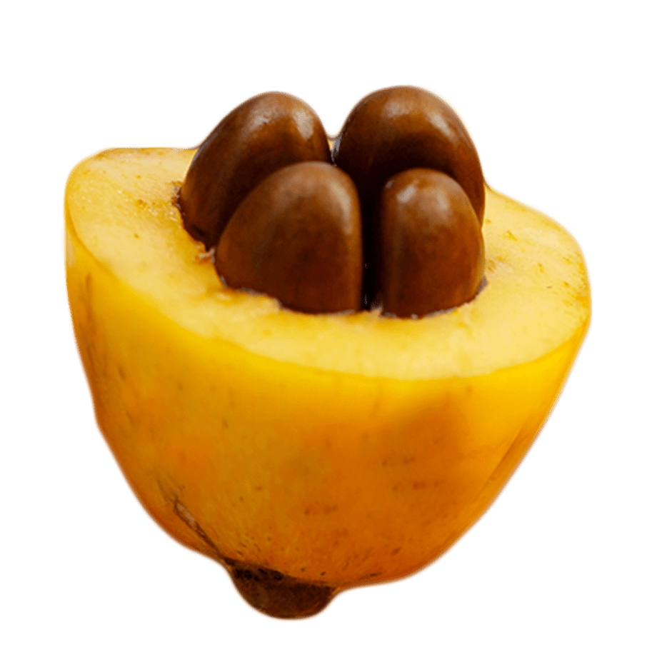 作为一名环保吃货吃枇杷要做到零垃圾