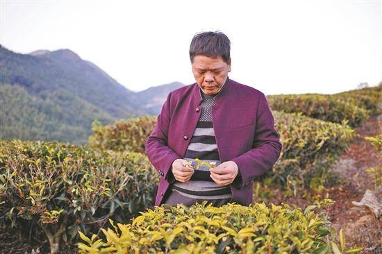 「潮州工夫茶故事·"玩茶童子"叶汉钟」立志让潮州工夫茶文化闪耀世界