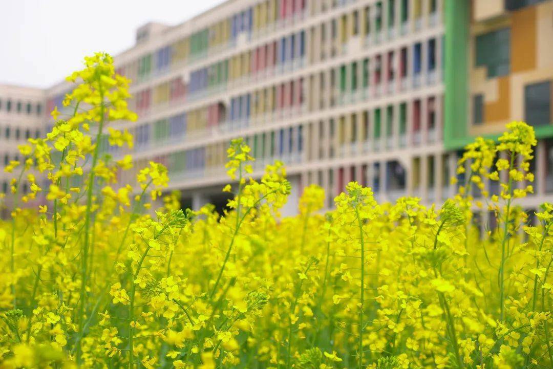 浙江传媒学院图片壁纸图片