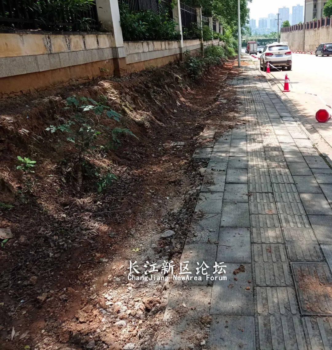 红岭一路人行道和绿化带开始改造施工阳逻中央花园城和保利圆梦城中间