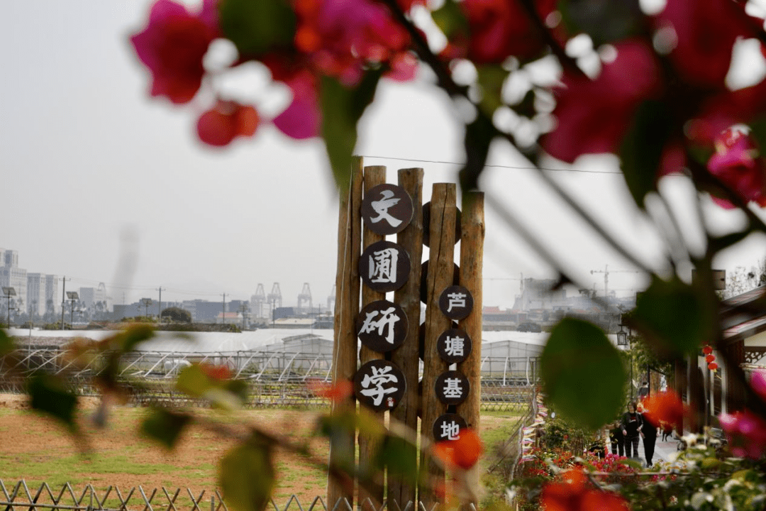 厦门文圃研学基地图片