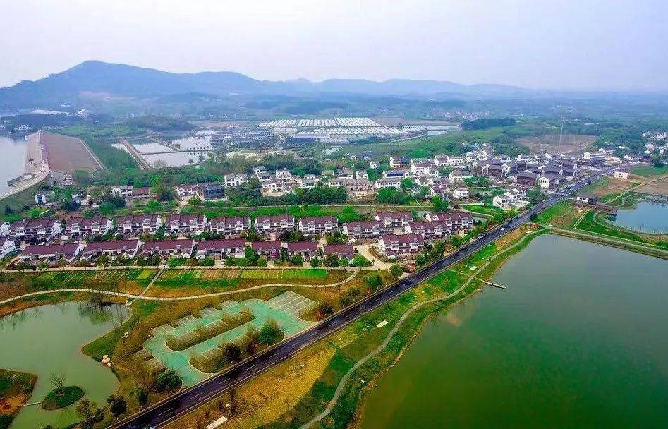 薛埠镇构筑美丽宜居小城镇02助推城乡融合发展