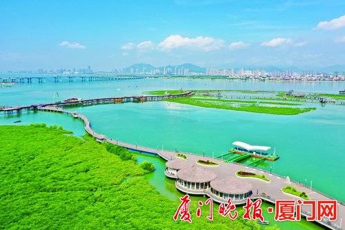 厦门翔安：昔日淤泥滩涂地 今日生态新范本