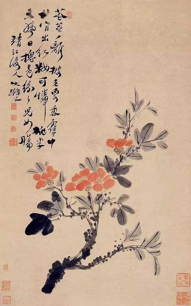 ����Ϻ��С�ʯ�Σ��ѡ��ࡱ���ڻ�����