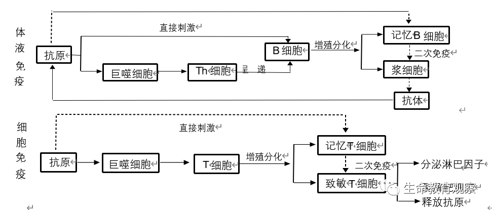 高考生物:"新冠肺炎"病毒传播预防和免疫考点的整理(附精选试题)