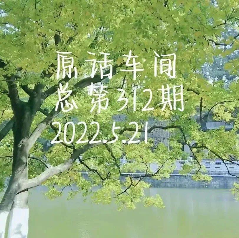 原话车间 | 第312期_靠岸_晴天_种子