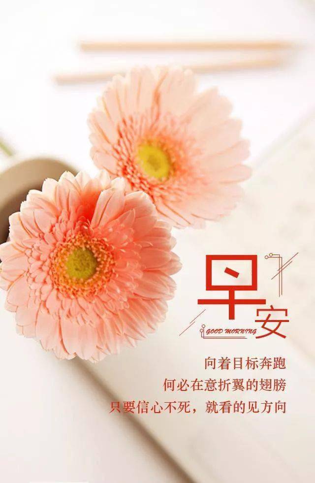 腾辉早安心语岁月安暖花盛开平安幸福好运来