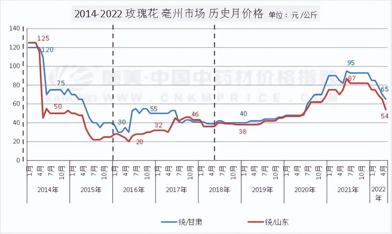 玫瑰花图统计图片