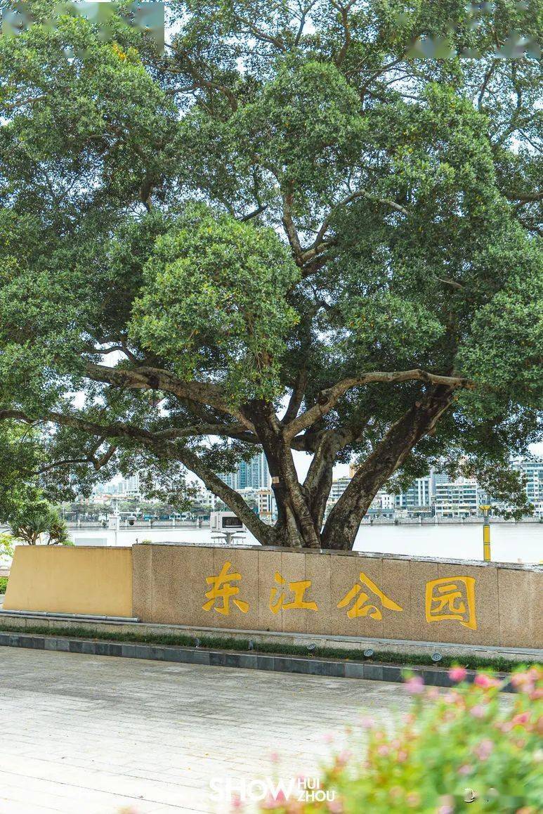 惠州各大露营地现在怎样了?_东江_公园_西子湖畔