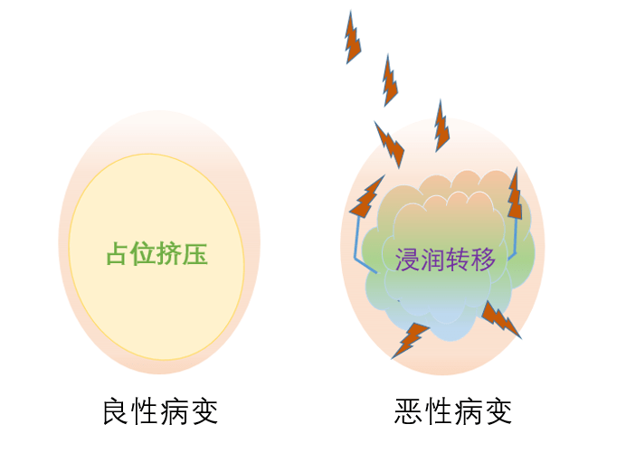 千萬別忽視!_腫瘤_睪丸_寶寶