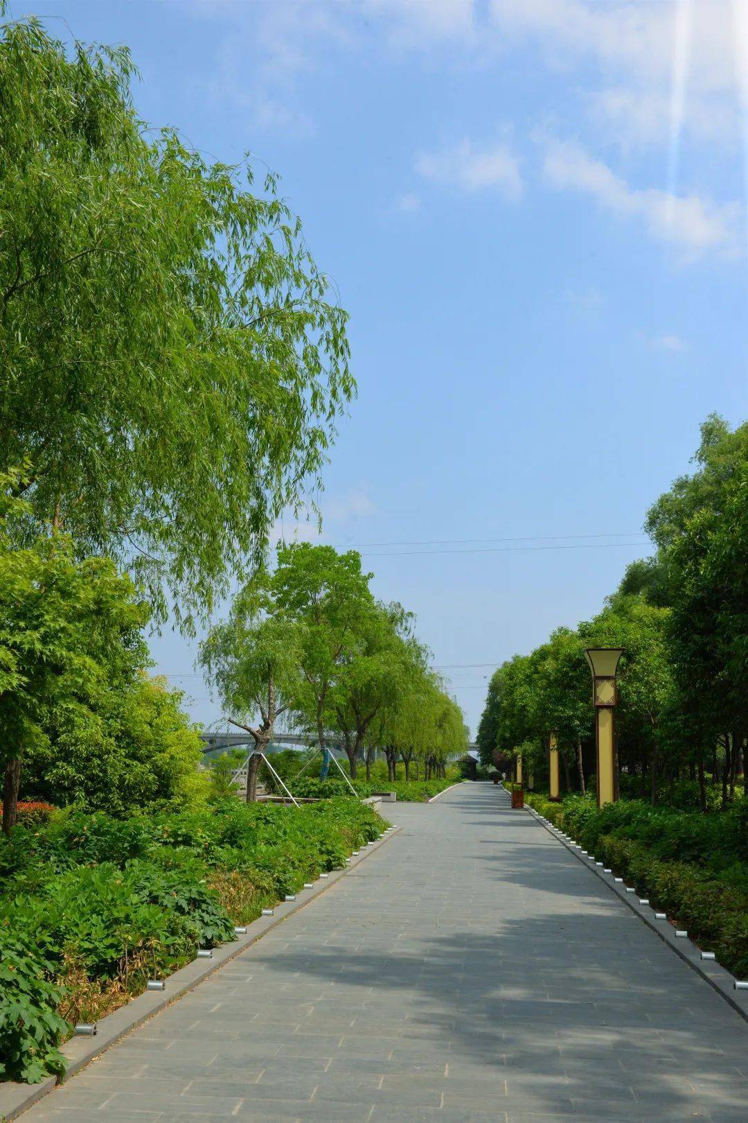 满屏美景龙门初夏壁纸送给你