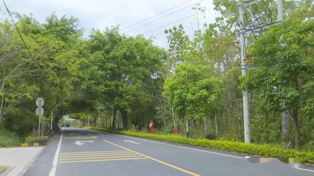 马路村_灰寨镇_揭西县