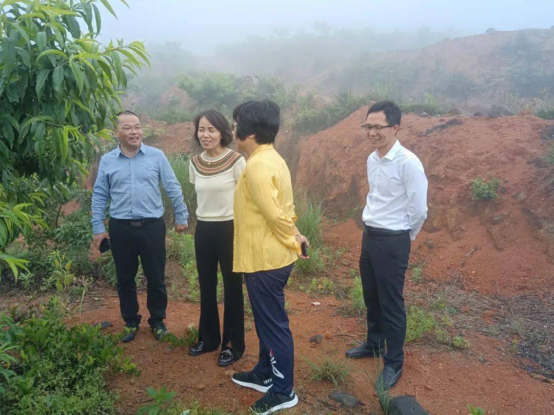 南安市领导带队到翔云镇开展调研指导