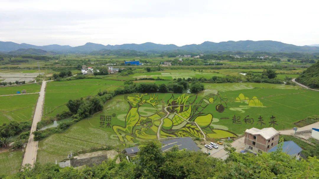 疫情期间调解不停歇,67司法护航旅游古镇发展_中渡_原告_被告