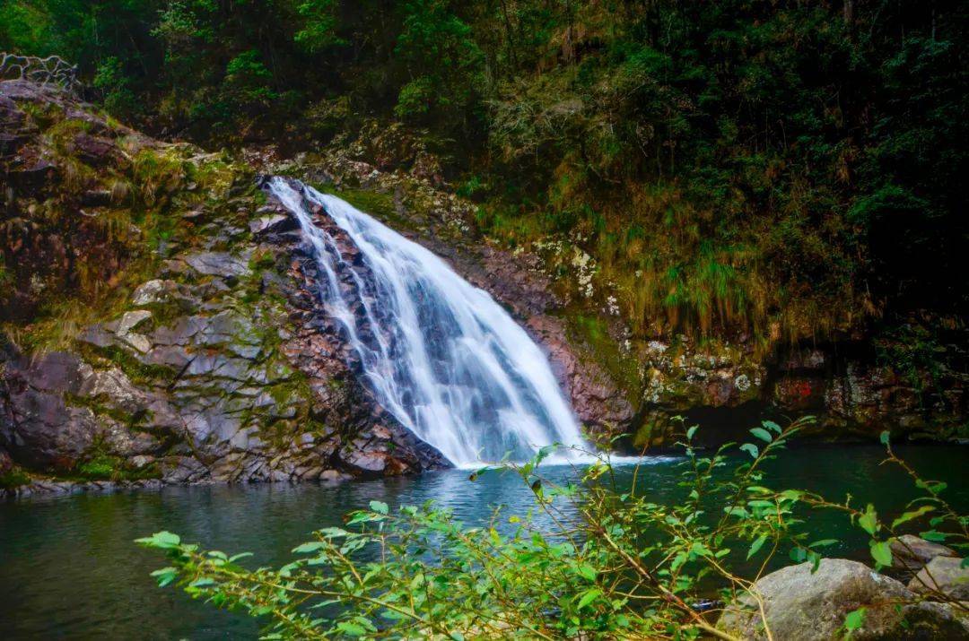 揭晓三明市秀美将乐县61康养龙栖山摄影展作品征集评选结果出炉