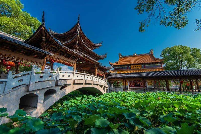 动动手指快来投出你的宝贵一票送秀洲这条线路在全省出道