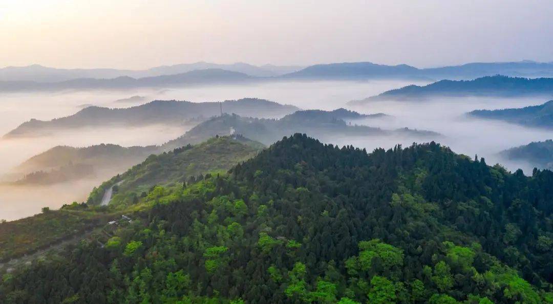 一起来龙泉山森呼吸林距离