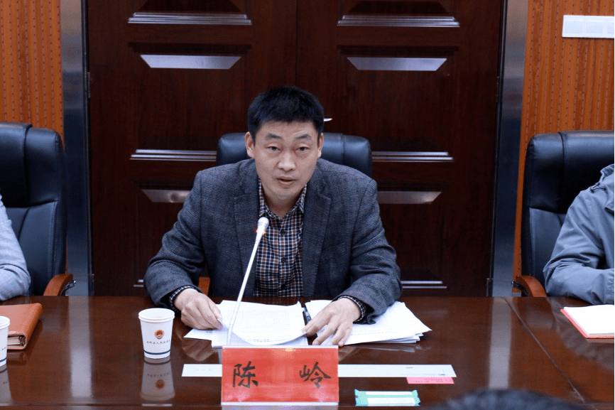 新野县召开《全科网格化治理精细化运行机制探索》开题论证会