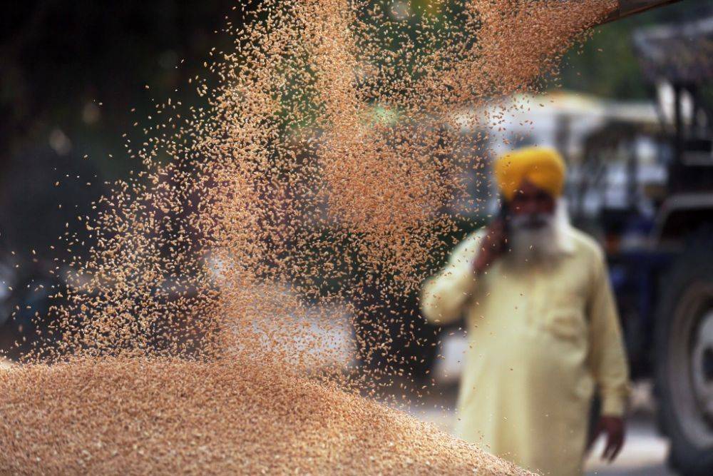 重磅！印度计划限制糖出口量，是全球第二大糖出口国！当地糖价应声上涨，糖企股价大跌