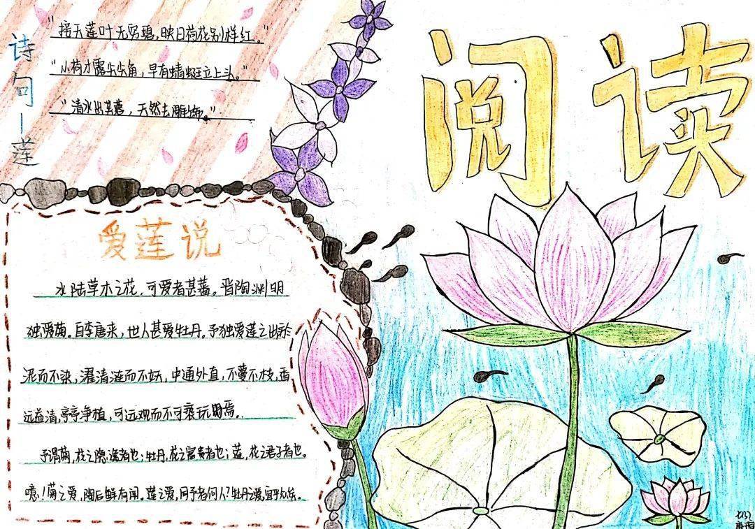 阅读科技节手抄报比赛网络投票开始啦