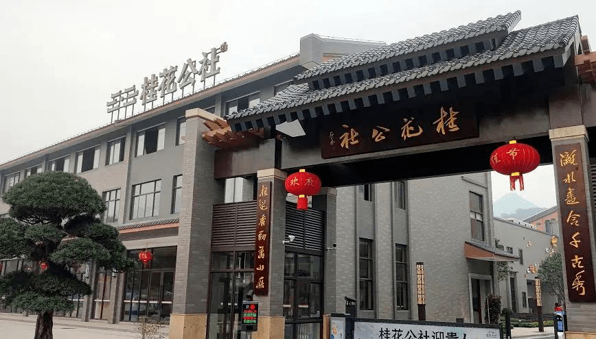 空降桂林万象城!没抢到真的会酸……_积木_海洋_专业