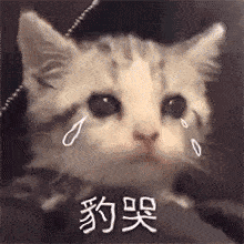 那些考雅思的崩溃瞬间