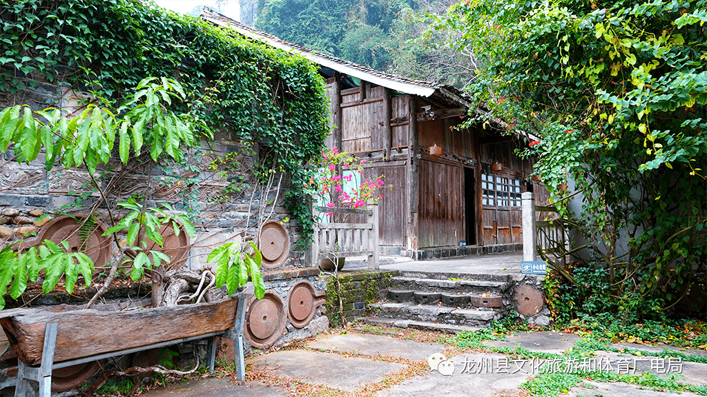 雨林秘境 | 发现弄岗_自然保护区_森林_景区
