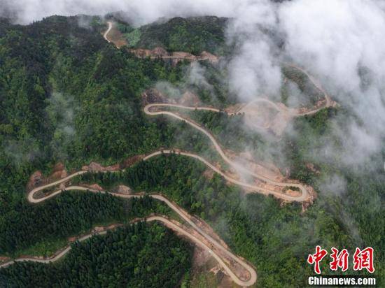 浙江景宁云端山路花浪漫