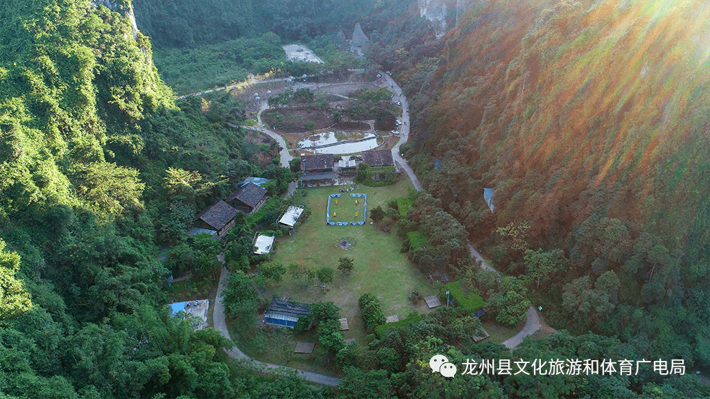 雨林秘境 | 发现弄岗_自然保护区_森林_景区