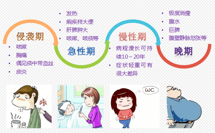 血防宣传周 | 江边戏水?警惕水中"幽灵"_血吸虫_症状_江水