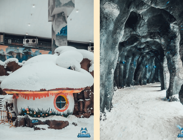 今日天台山雪樂園恢復營業啦週末走起