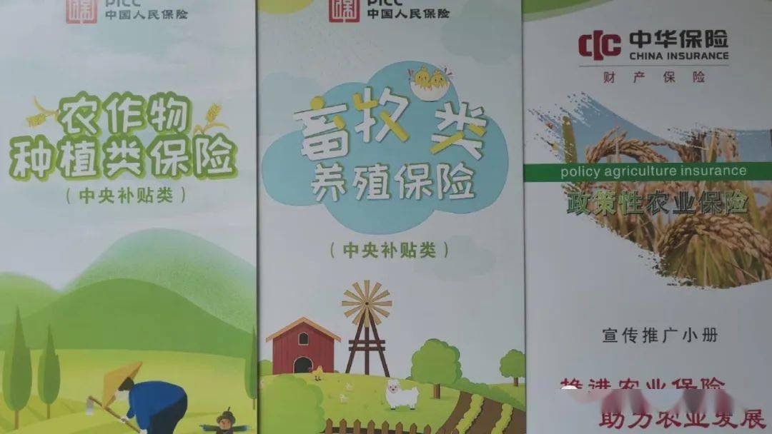 肇庆市生猪价格保险项目发布助力我市生猪养殖产业健康发展