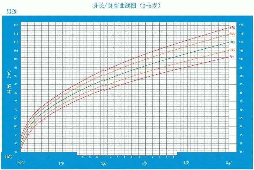 男孩身长/身高曲线图目前国内使用的生长曲线是who制定的生长标准曲线