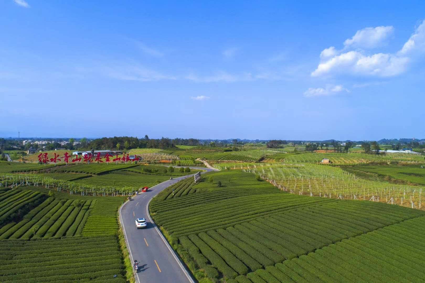 专家评选等环节,广元市朝天区曾家山生态旅游环线公路,成都市蒲江县