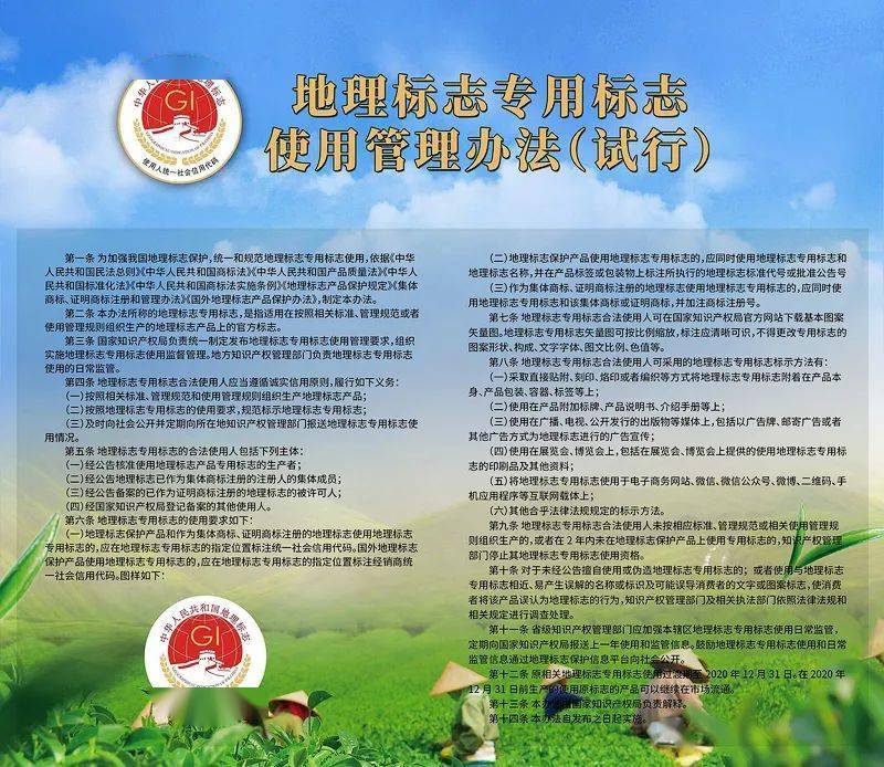 加强地理标志保护 护航凤凰单丛(枞)茶品牌发展