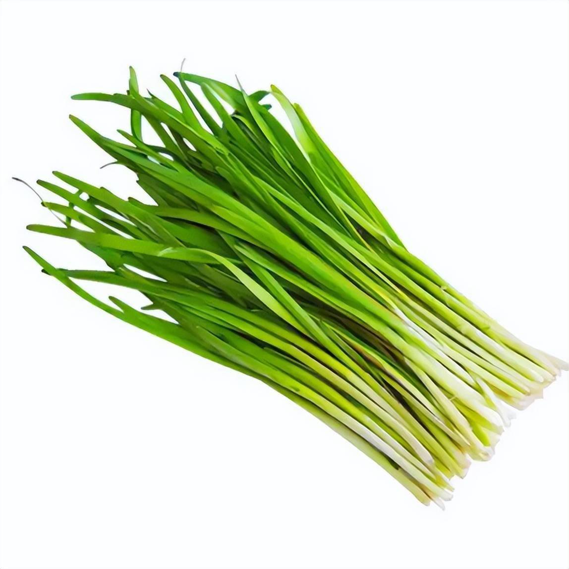 常人知道韭菜能补肾强腰,其实韭菜还有安五脏,行血散瘀,充肺气,润肠