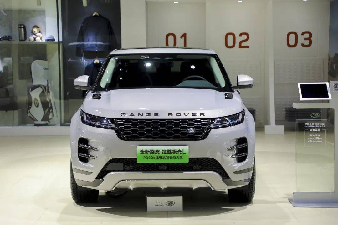 虎豹立鹏城 英伦耀湾区_鹏城_英伦_虎豹