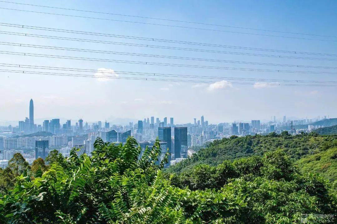 深圳遛娃無障礙山地公園!網紅棧橋,環山步道,高顏值&超有愛,可以從早