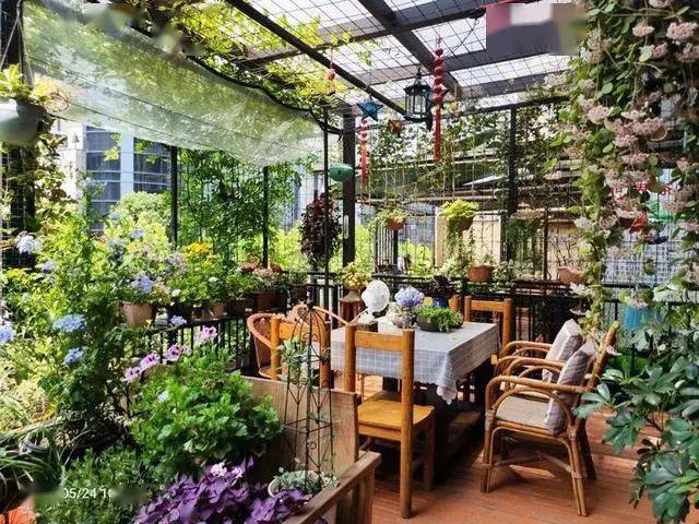 50后奶奶花2年造了个70平米露台花园她说有梦想要趁早规划别等老了