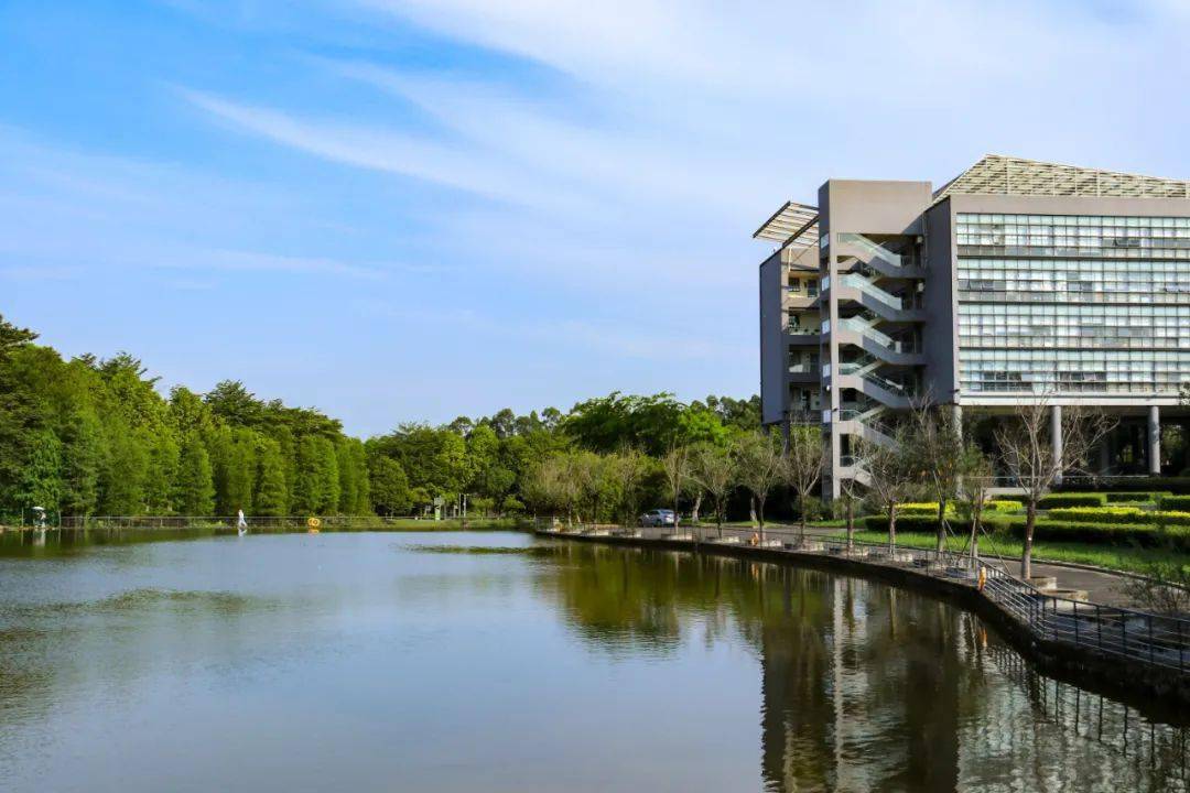 东莞理工学院端午节假期这样放!_下周端午放假3天_管理_防控