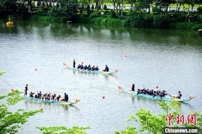 华侨大学境内外学子厦门龙舟竞渡体验龙舟文化