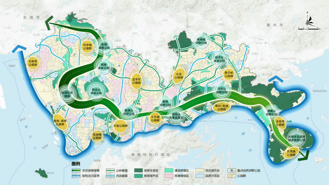 深圳大望规划2021图片