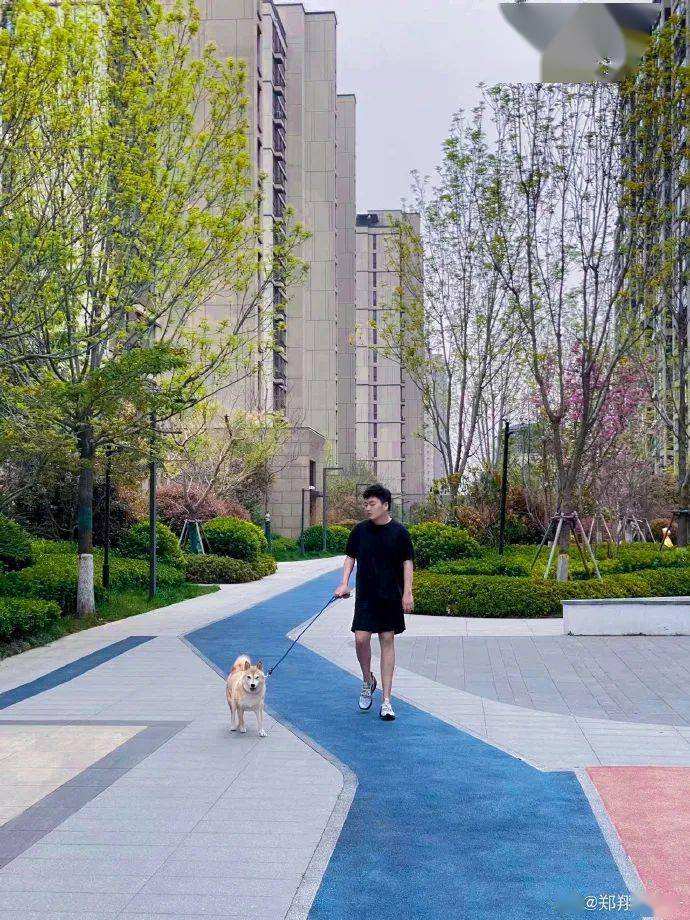 而此时那位在郑翔底下做出评价的靓女刘飞儿也是感触颇深,毕竟自己也