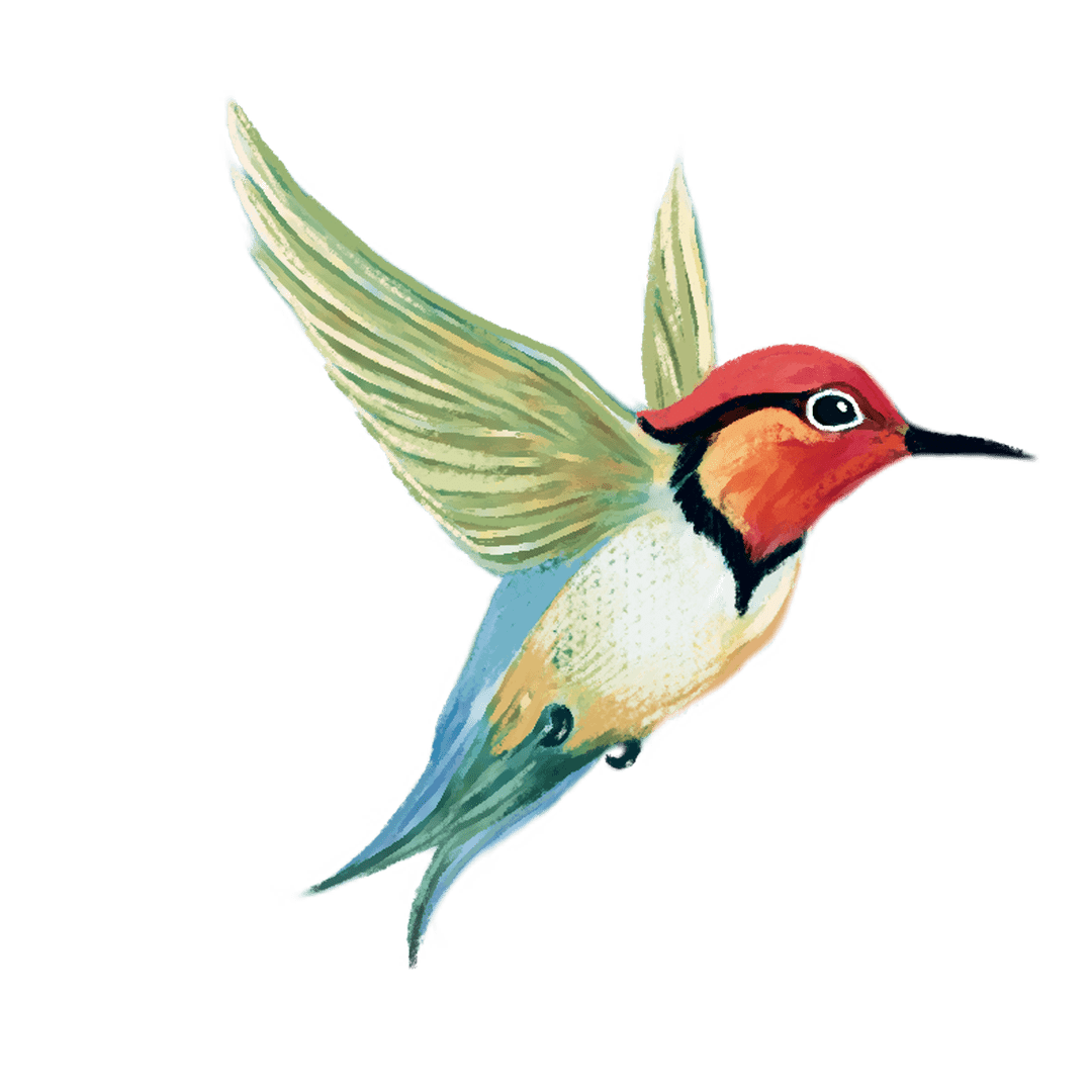 好书分享 | 《荆棘鸟》